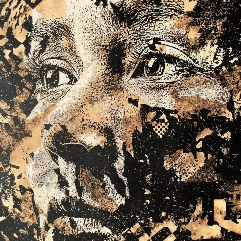 Vhils